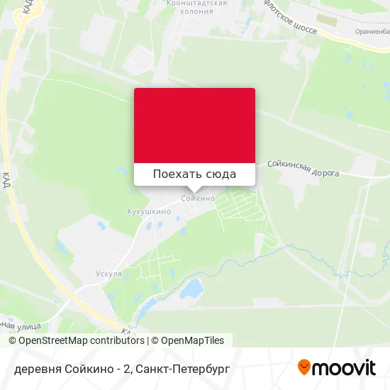 Карта деревня Сойкино - 2