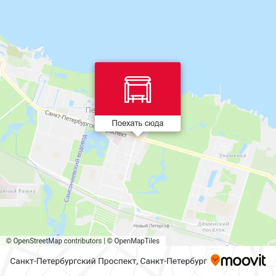 Карта Санкт-Петербургский Проспект