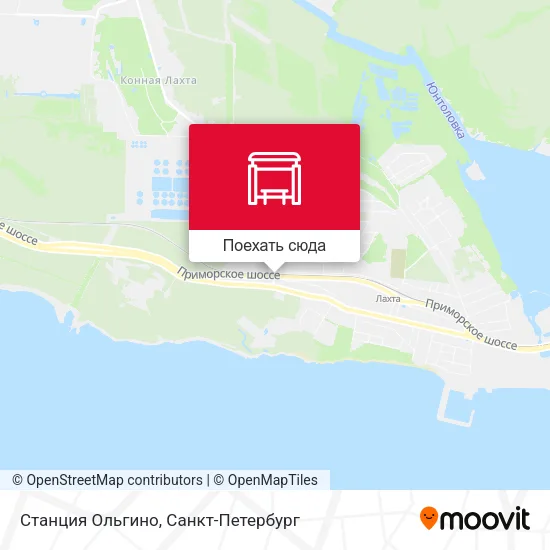 Карта Станция Ольгино
