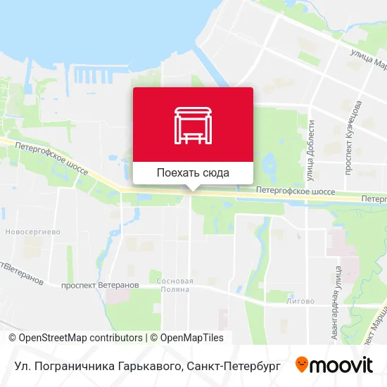 Карта Ул. Пограничника Гарькавого