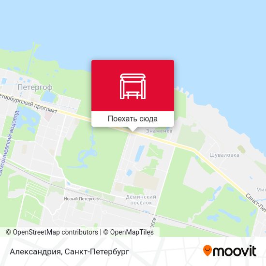 Карта Александрия