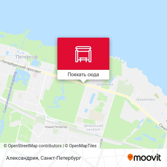 Карта Александрия