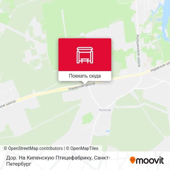Карта Дор. На Кипенскую Птицефабрику