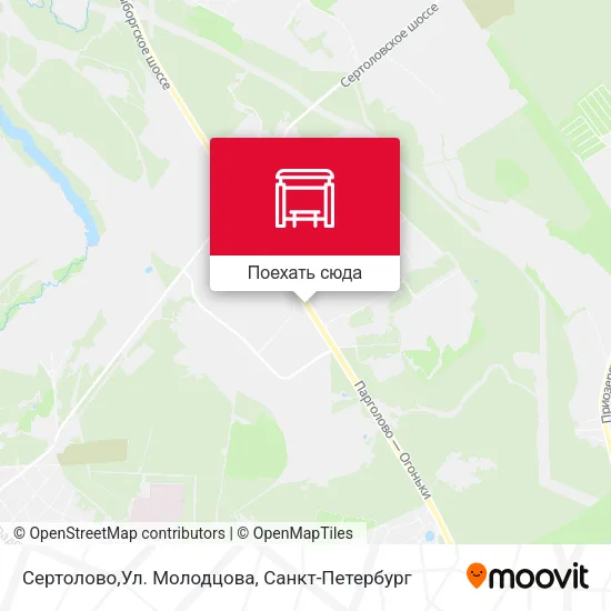 Карта Сертолово,Ул. Молодцова