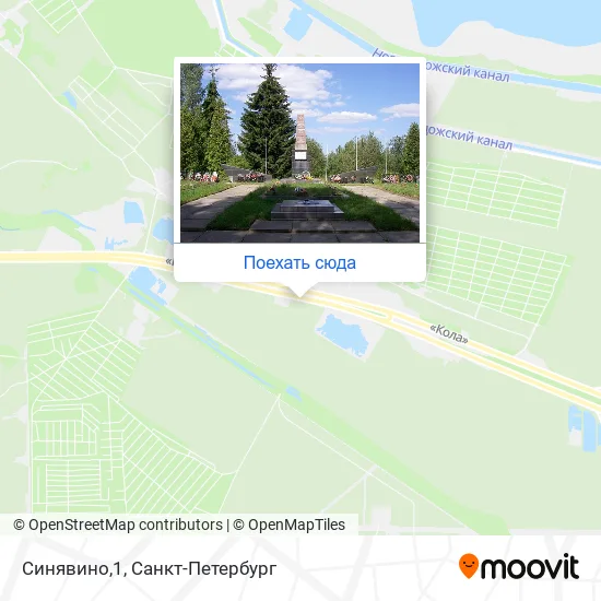 Карта Синявино,1