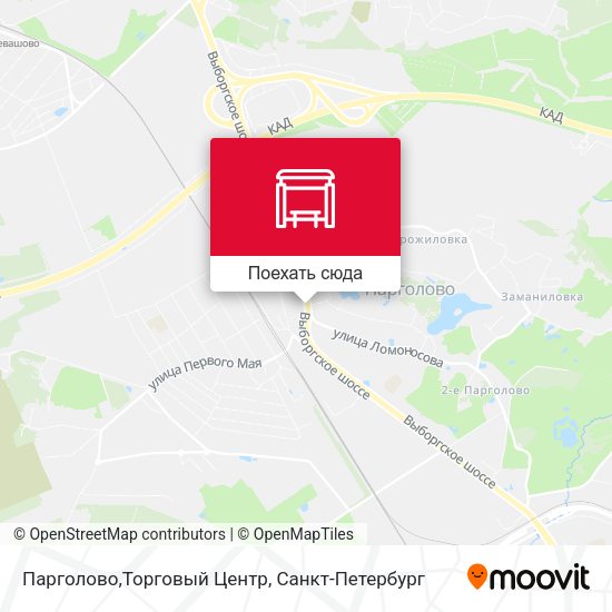 Карта Парголово,Торговый Центр