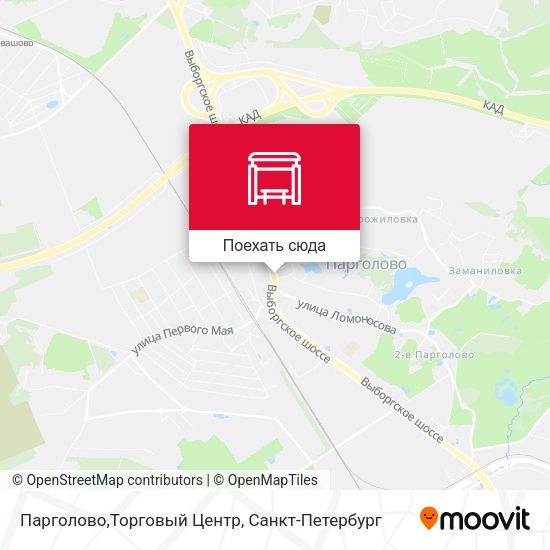 Карта Парголово,Торговый Центр