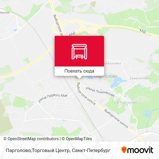 Карта Парголово,Торговый Центр