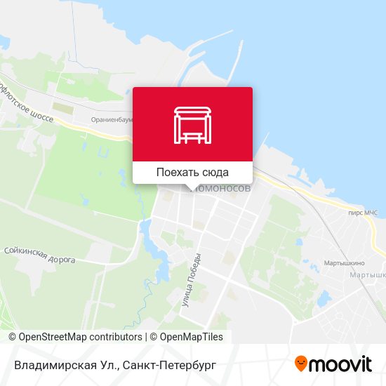 Карта Владимирская Ул.