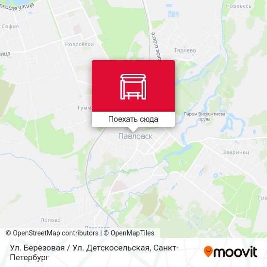 Карта Ул. Берёзовая / Ул. Детскосельская