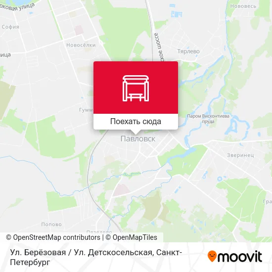 Карта Ул. Берёзовая / Ул. Детскосельская