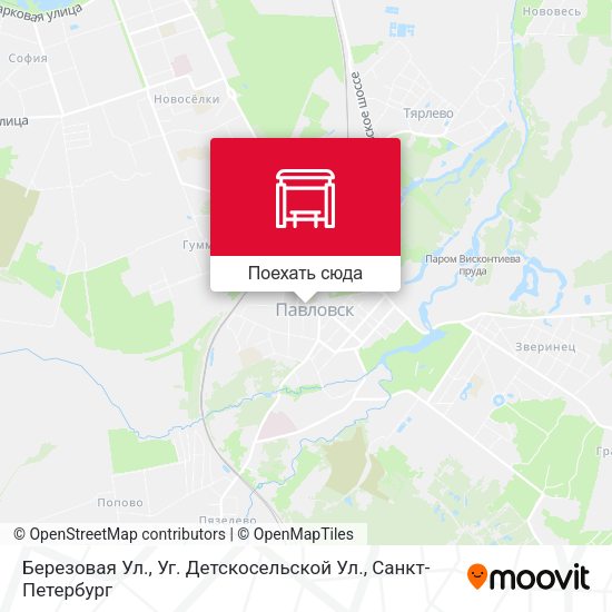 Карта Березовая Ул., Уг. Детскосельской Ул.