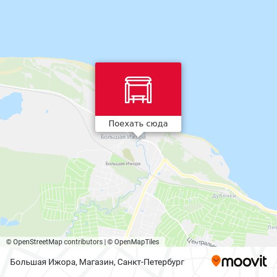 Карта Большая Ижора, Магазин