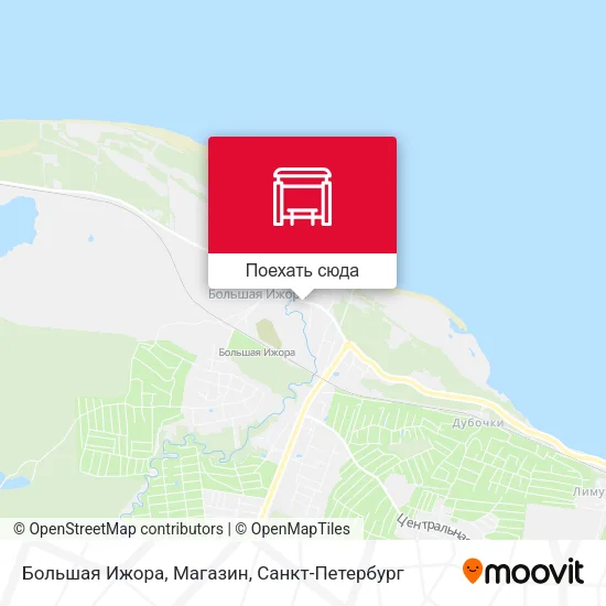 Карта Большая Ижора, Магазин