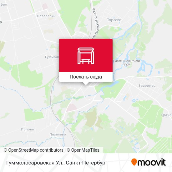 Карта Гуммолосаровская Ул.