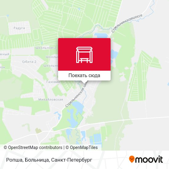 Карта Ропша, Больница