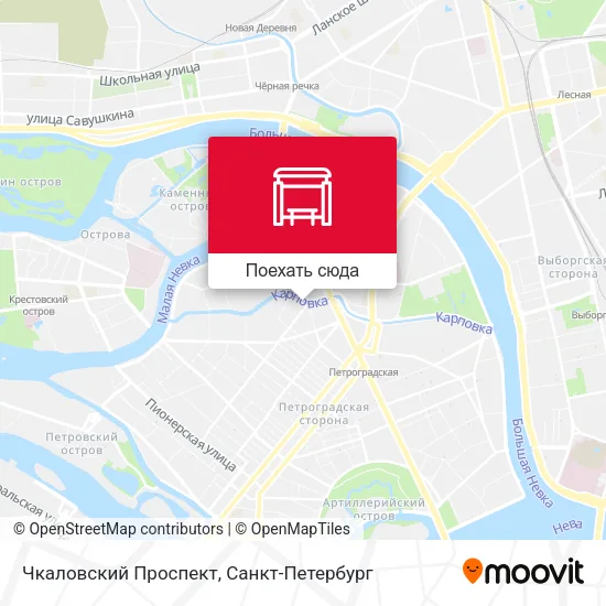 Карта Чкаловский Проспект
