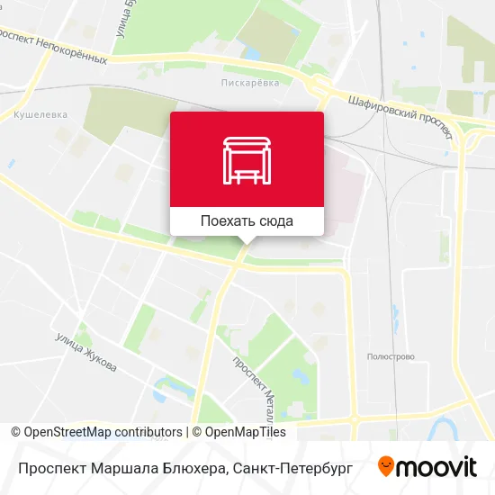 Карта Проспект Маршала Блюхера