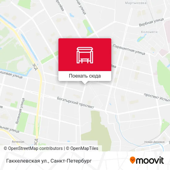 Карта Гаккелевская ул.