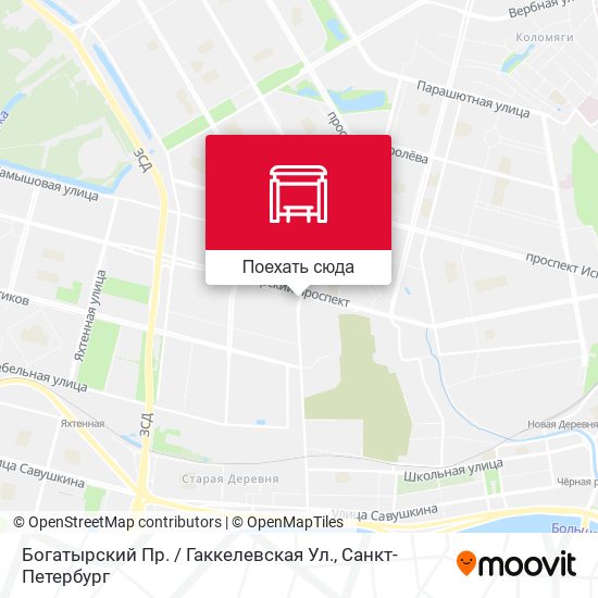 Карта Богатырский Пр. / Гаккелевская Ул.