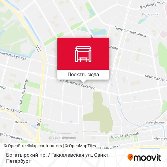 Карта Богатырский пр. / Гаккелевская ул.