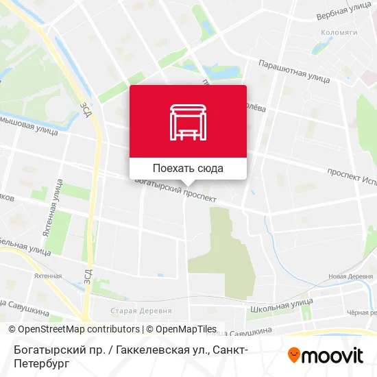 Карта Богатырский пр. / Гаккелевская ул.