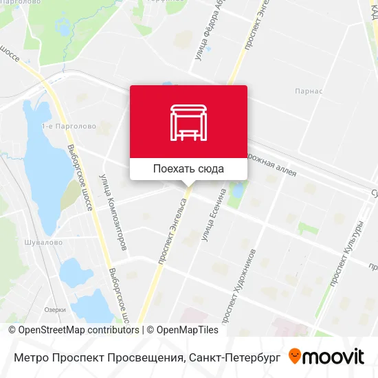 Карта Метро Проспект Просвещения
