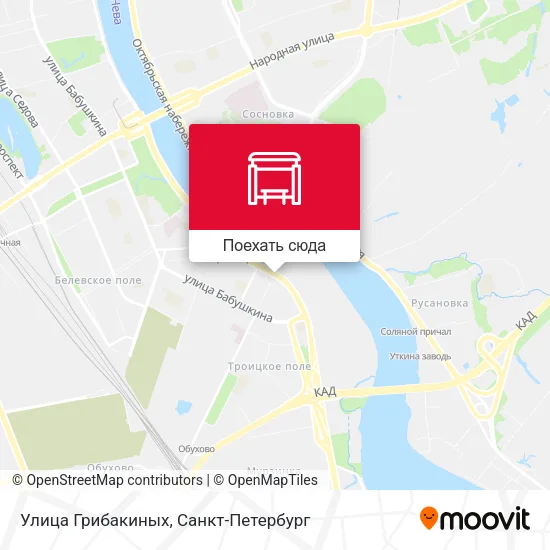 Карта Улица Грибакиных