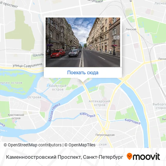 Карта Каменноостровский Проспект