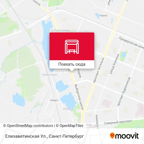 Карта Елизаветинская Ул.
