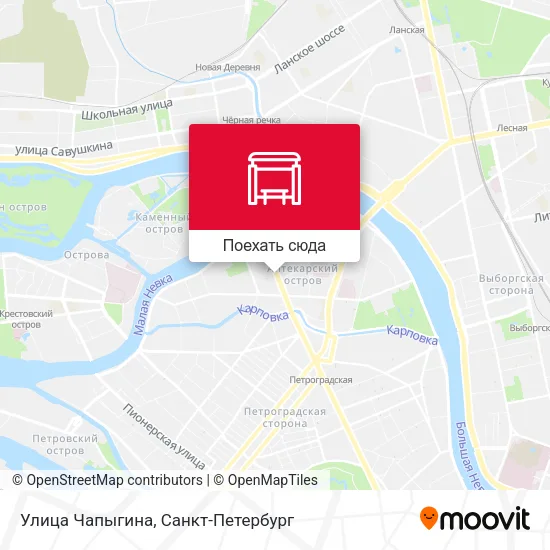 Карта Улица Чапыгина