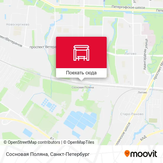 Карта Сосновая Поляна
