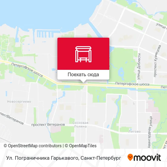 Карта Ул. Пограничника Гарькавого
