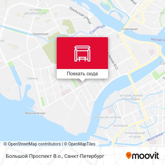 Карта Большой Проспект В.о.