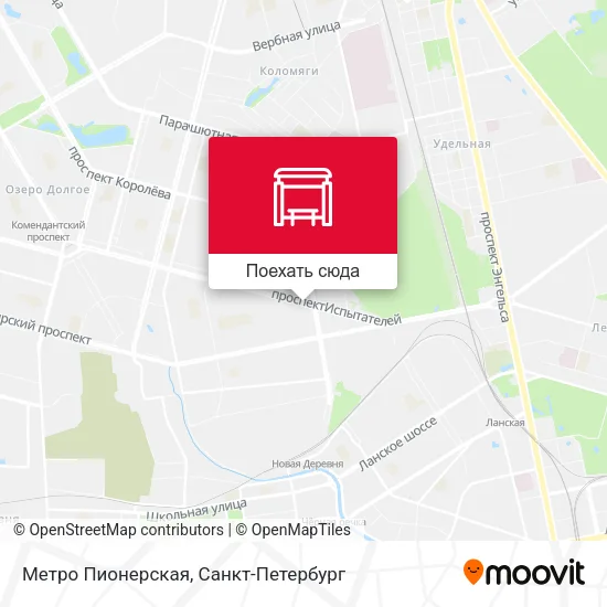 Карта Метро Пионерская