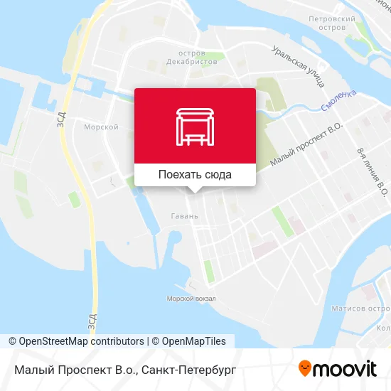 Карта Малый Проспект В.о.