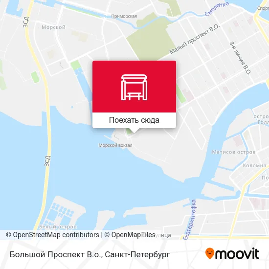 Карта Большой Проспект В.о.