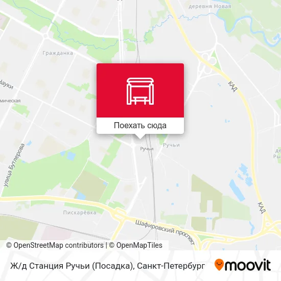 Карта Ж/д Станция Ручьи (Посадка)