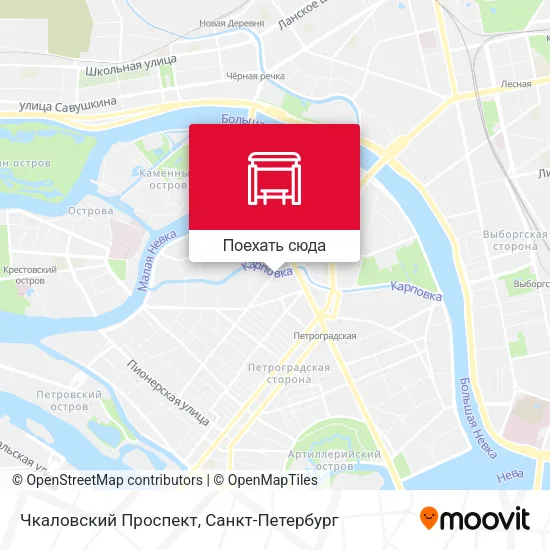 Карта Чкаловский Проспект