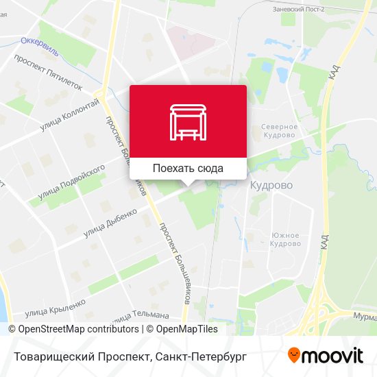 Карта Товарищеский Проспект