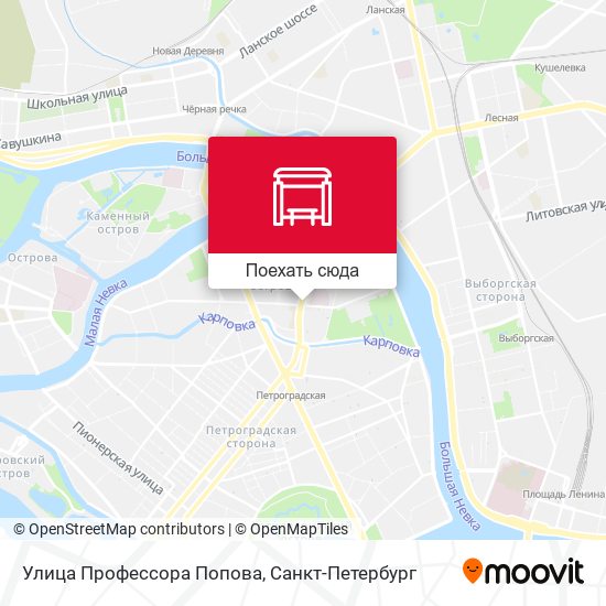 Карта Улица Профессора Попова