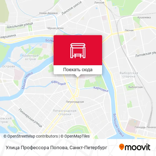 Карта Улица Профессора Попова
