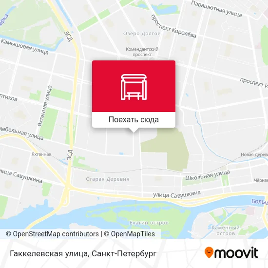 Карта Гаккелевская улица