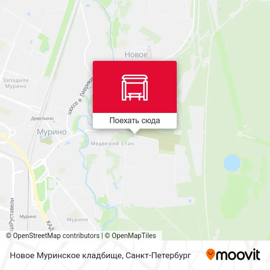 Карта Новое Муринское кладбище