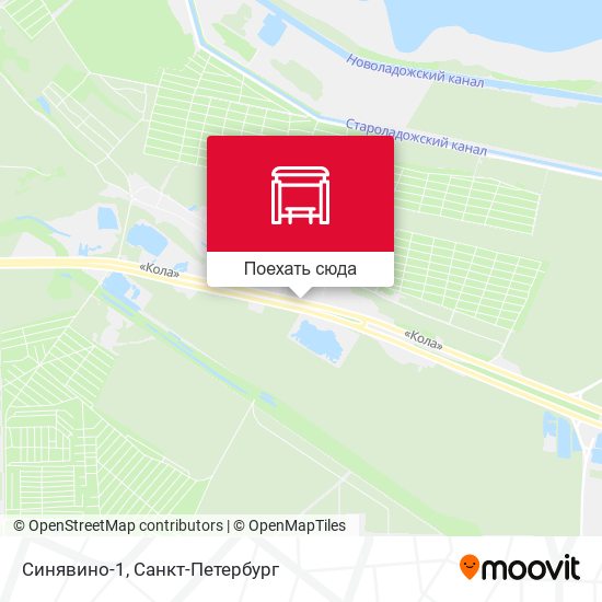 Карта Синявино-1