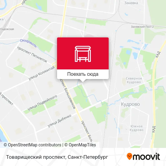 Карта Товарищеский проспект