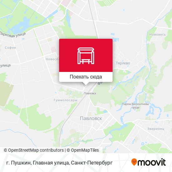 Карта г. Пушкин, Главная улица