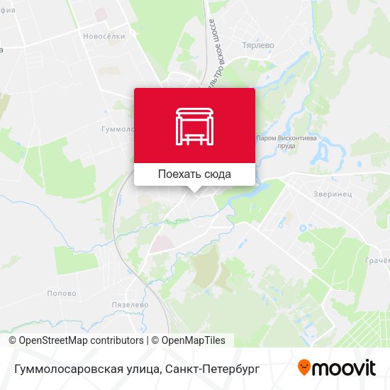 Карта Гуммолосаровская улица