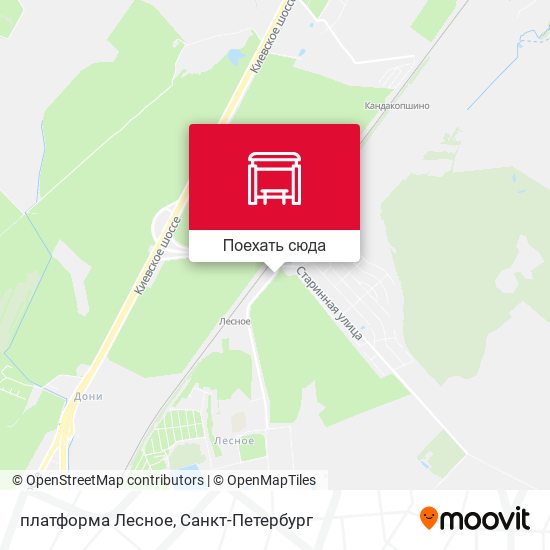 Карта платформа Лесное