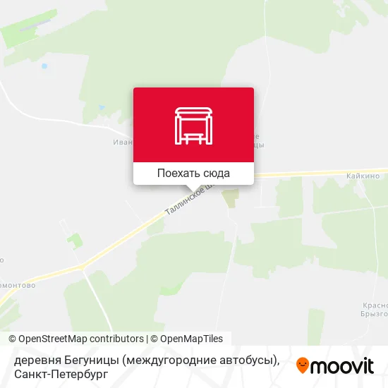 Карта деревня Бегуницы (междугородние автобусы)